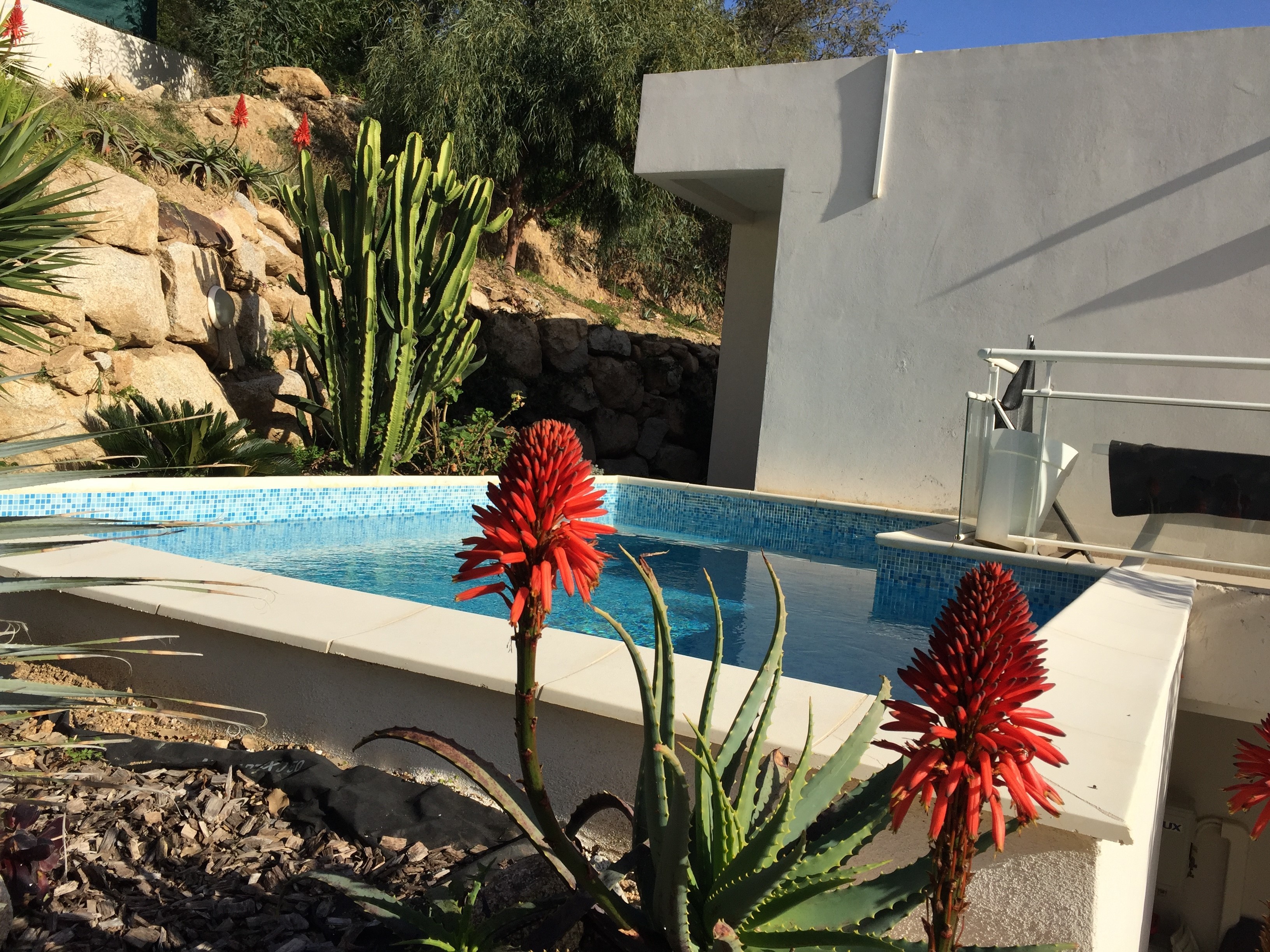 Vizzavona piscine et jacuzzi