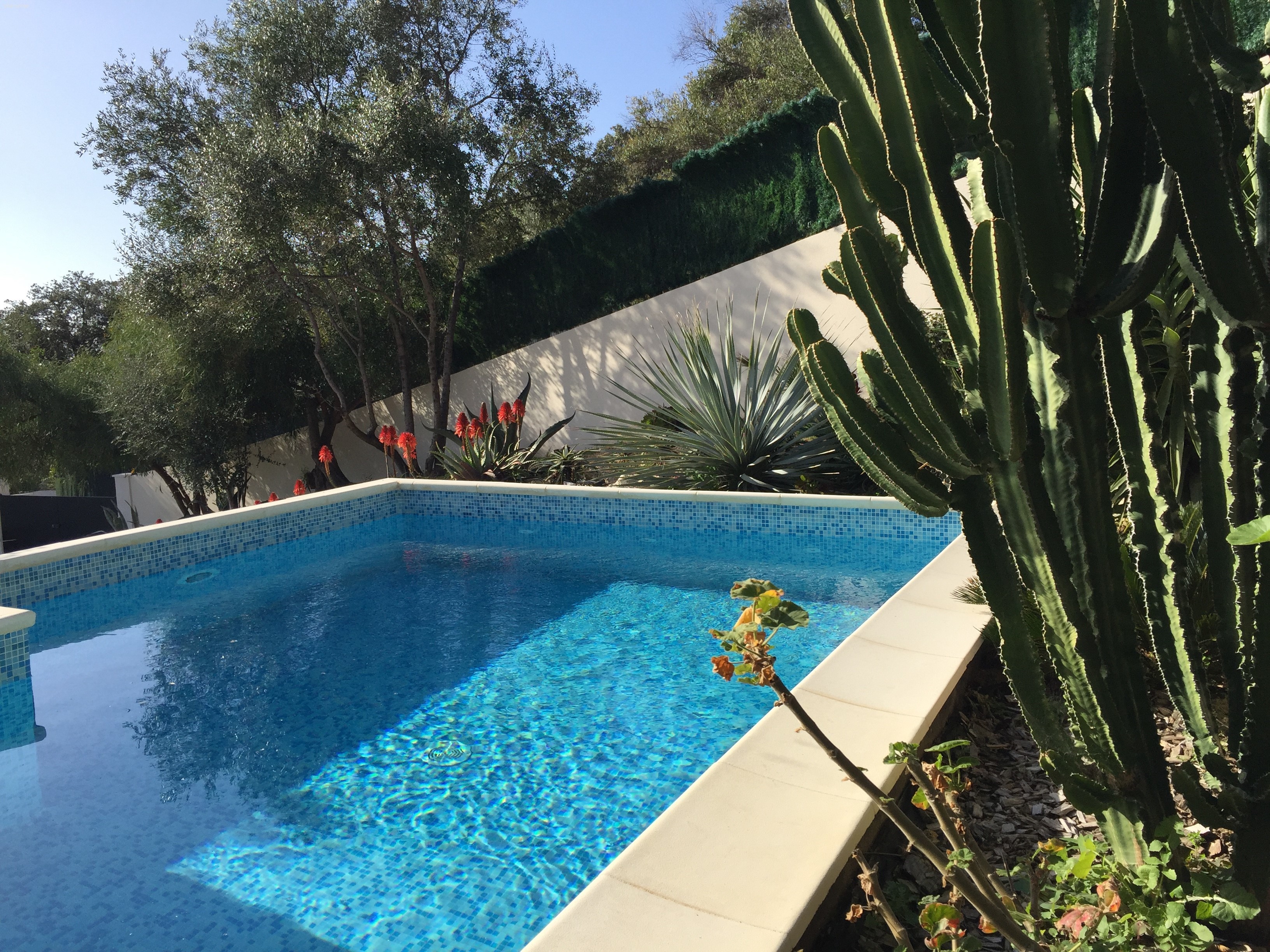 Vizzavona piscine et jacuzzi
